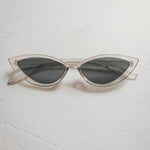 Kiwi 3 - Thumbnail 4
