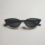Kiwi 3 - Thumbnail 6