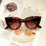 Apricot sin UV - Thumbnail 4